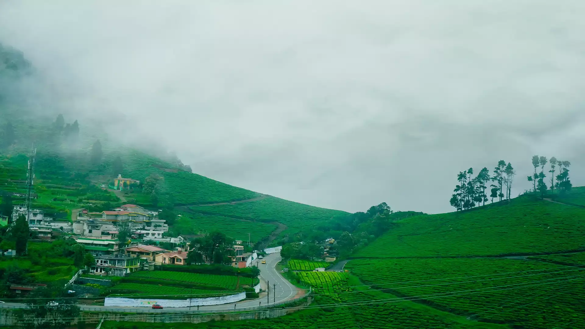 Ooty Complete Experience