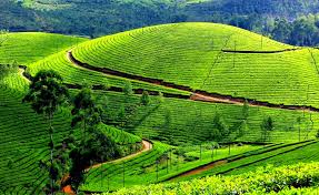 Ooty Adventure Combo
