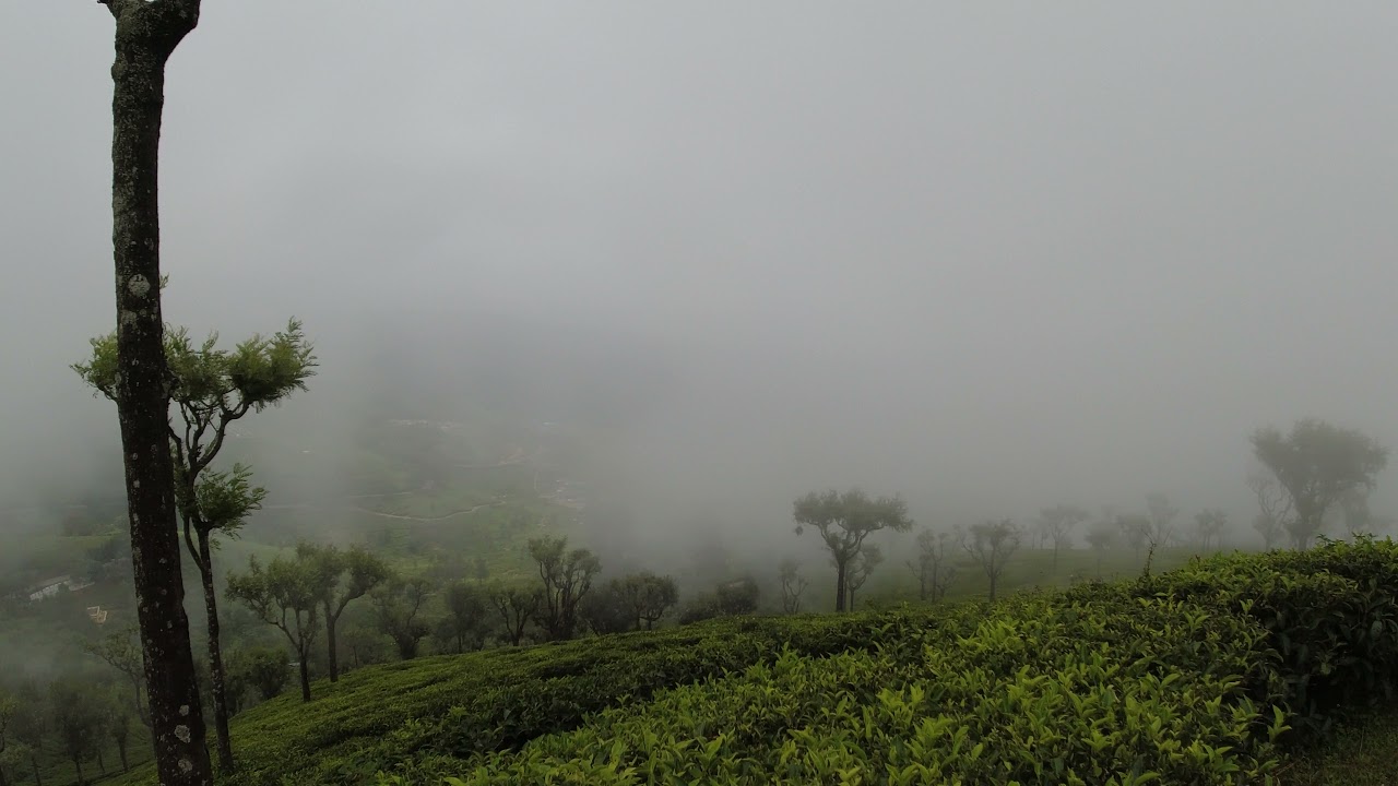 Ooty-Kodaikanal Combo